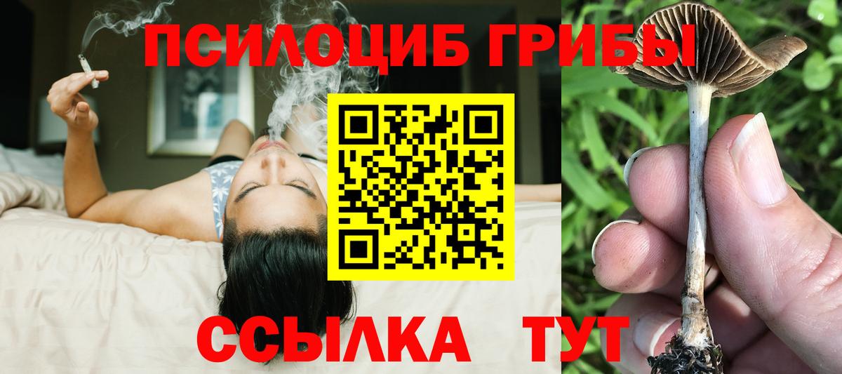 Псилоцибиновые грибы мицелий Бор